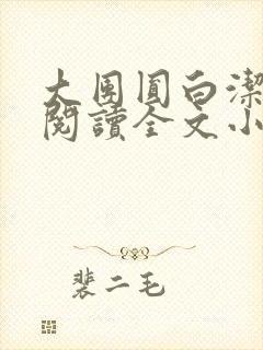 大团圆白洁免费阅读全文小说