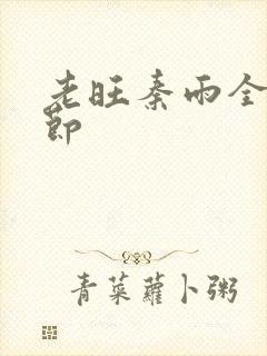 老旺秦雨全部章节