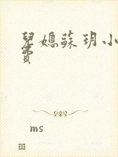 儿媳苏玥小说免费