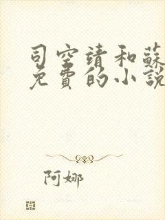 司空靖和苏月汐免费的小说笔趣阁