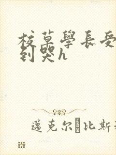 校草学长受被做到哭h