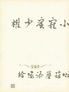 权少蜜宠小娇妻