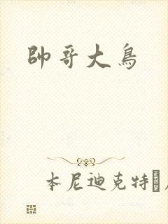 帅哥大鸟