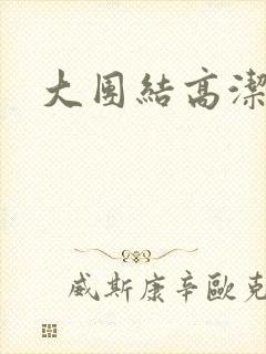 大团结高洁