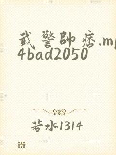 武警帅痞.mp4bad2050