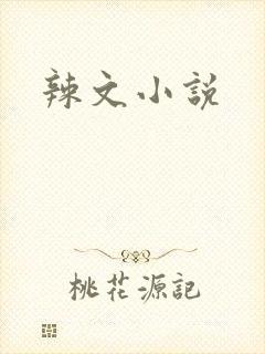 辣文小说