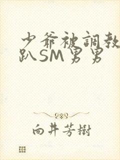 少爷被调教室跪趴SM男男