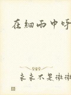 在细雨中呼喊