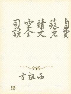 司空靖苏月汐小说全文免费阅读