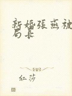 新婚张燕被两个局长