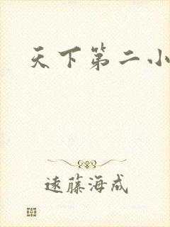 天下第二小说