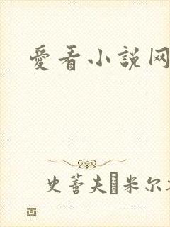 爱看小说网