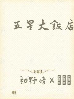 五星大饭店小说