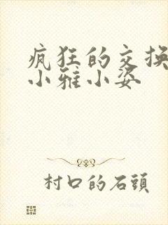 疯狂的交换小静小雅小姿