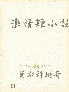 激情短小说