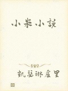 小米小说