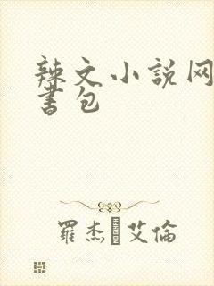 辣文小说网第二书包
