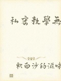 私密教学无删减