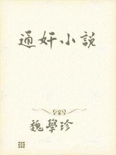 通奸小说