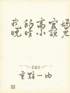 我的高官妈妈苏晚晴小说免费阅读