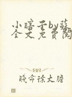 小瞎子by苏软全文免费阅读