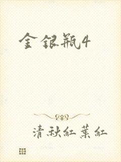 金银瓶4