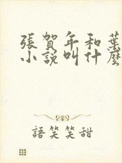 张贺年和叶繁姿小说叫什么名字