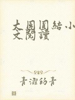 大团圆结小茹全文阅读