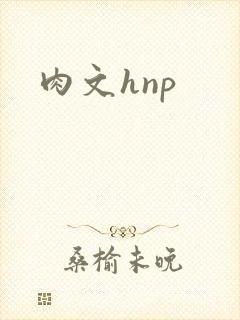 肉文hnp