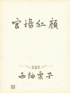 官场红颜