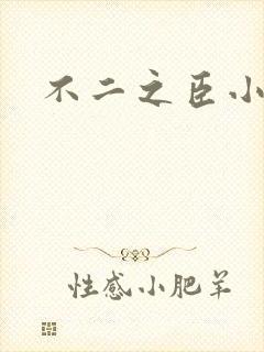 不二之臣小说