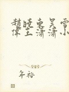 赵晓东吴雪晴郑伟王潇潇小说