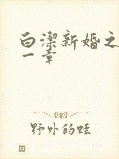 白洁新婚之夜第一章