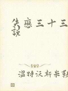 失恋三十三天小说