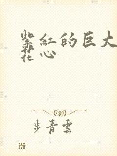 紫红的巨大顶开花心