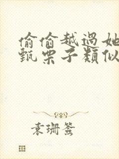 偷偷越过她by甄栗子类似小说