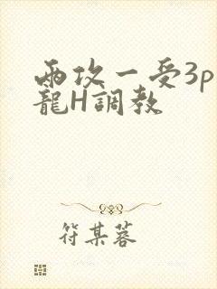 两攻一受3p双龙H调教