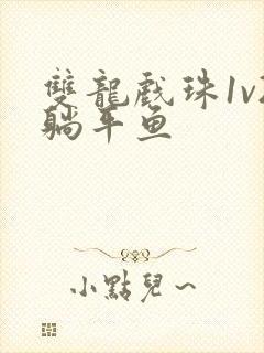 双龙戏珠1v2躺平鱼