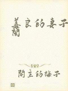 善良的妻子王晓兰