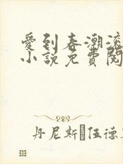 爱到春潮滚滚来小说免费阅读