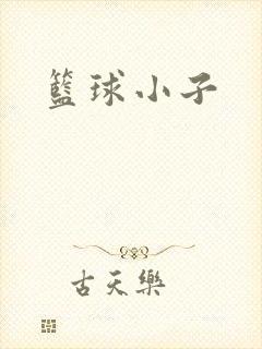 篮球小子