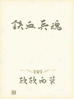 铁血兵魂