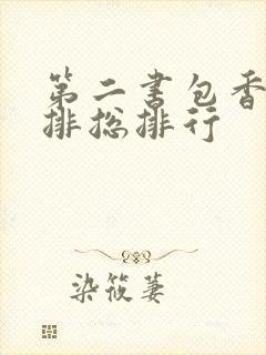 第二书包香辣肉排总排行