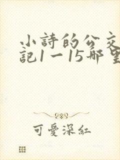 小诗的公交车日记1一15哪里能看