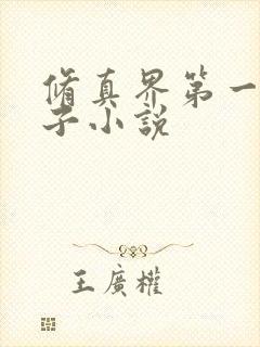 修真界第一病秧子小说