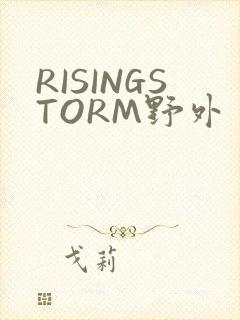 RISINGSTORM野外