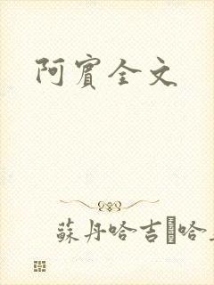 阿宾全文
