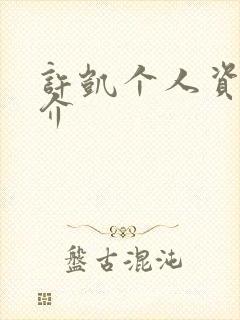 许凯个人资料简介