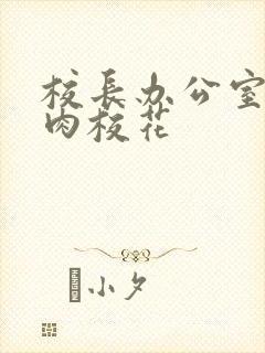 校长办公室里狂肉校花