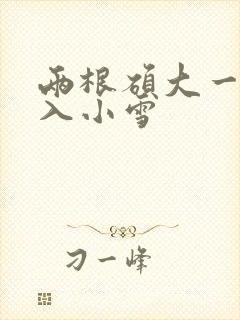 两根硕大一起挤入小雪